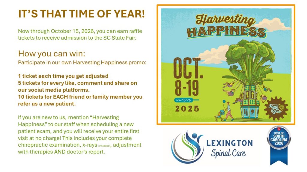 state fair raffle promo